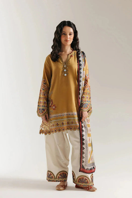 Ethnic Dhanak Full Heavy Embroidered 3Pc